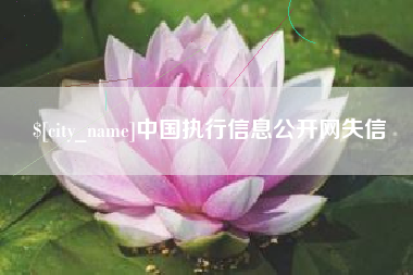 栖霞中国执行信息公开网失信