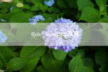 栖霞2022九宫