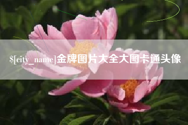 栖霞金牌图片大全大图卡通头像