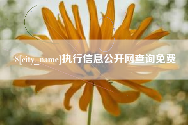 栖霞执行信息公开网查询免费