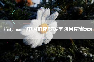 栖霞中国消防救援学院河南省2020
